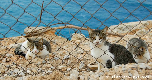 Photo report of a trip around Sfakia, September - October 2007